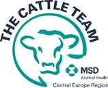 Cattle team