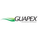 logo guapex 2018