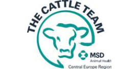 Cattle team