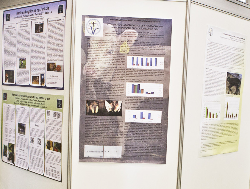 poster fotka